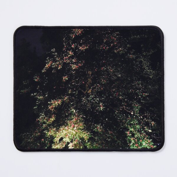 Item preview, American holly lit up designed and sold by PowerfulPhotos.