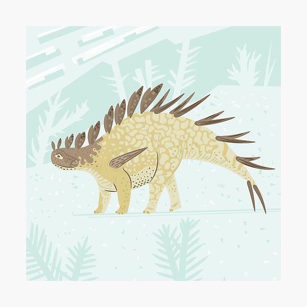 Kentrosaurus Photographic Print