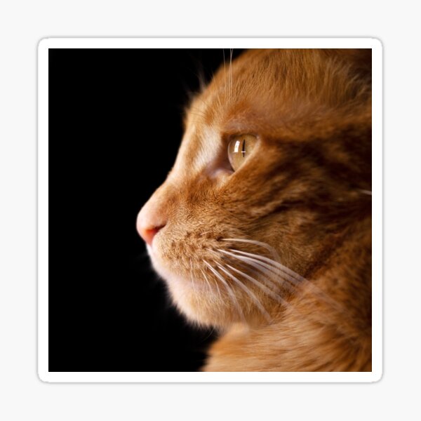 Jimbo Portrait Sticker