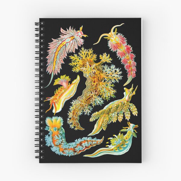 Item preview, Haeckel Nudibranchia designed and sold by Go Logo Designs.