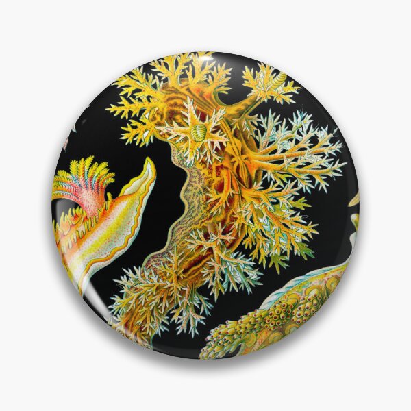 Item preview, Haeckel Nudibranchia designed and sold by Go Logo Designs.