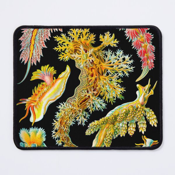 Item preview, Haeckel Nudibranchia designed and sold by Go Logo Designs.