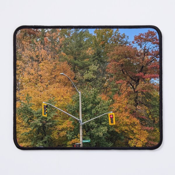 Item preview, Autumn Intersection  designed and sold by Hamilton is Beautiful.