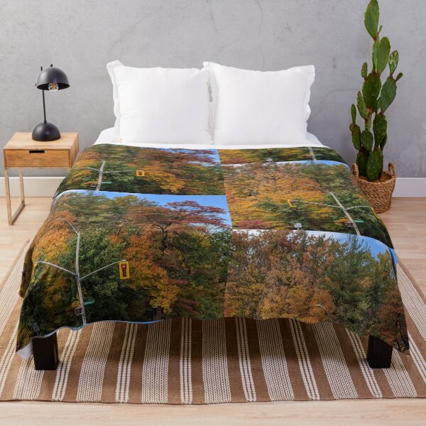 Item preview, Autumn Intersection  designed and sold by Hamilton is Beautiful.