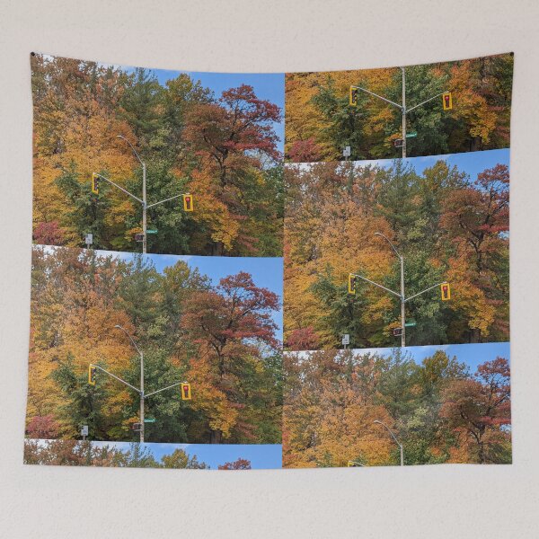 Item preview, Autumn Intersection  designed and sold by Hamilton is Beautiful.