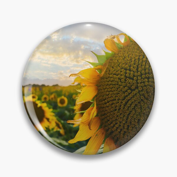 Item preview, Sunflower Field designed and sold by Cgaskins.