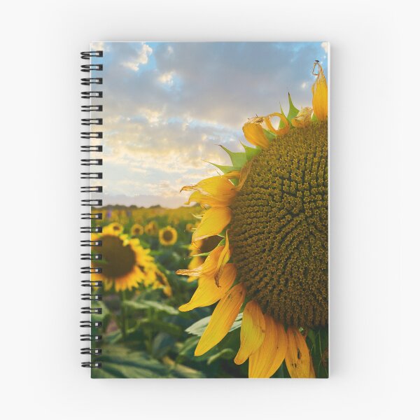 Item preview, Sunflower Field designed and sold by Cgaskins.