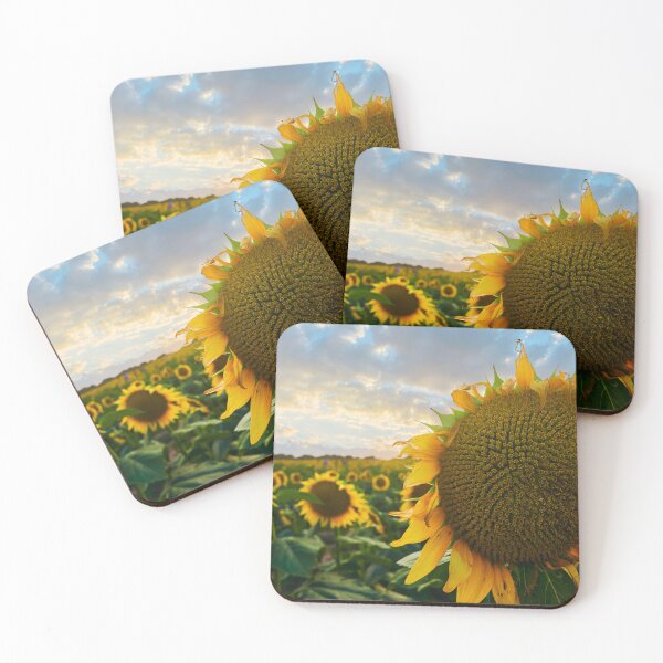 Item preview, Sunflower Field designed and sold by Cgaskins.