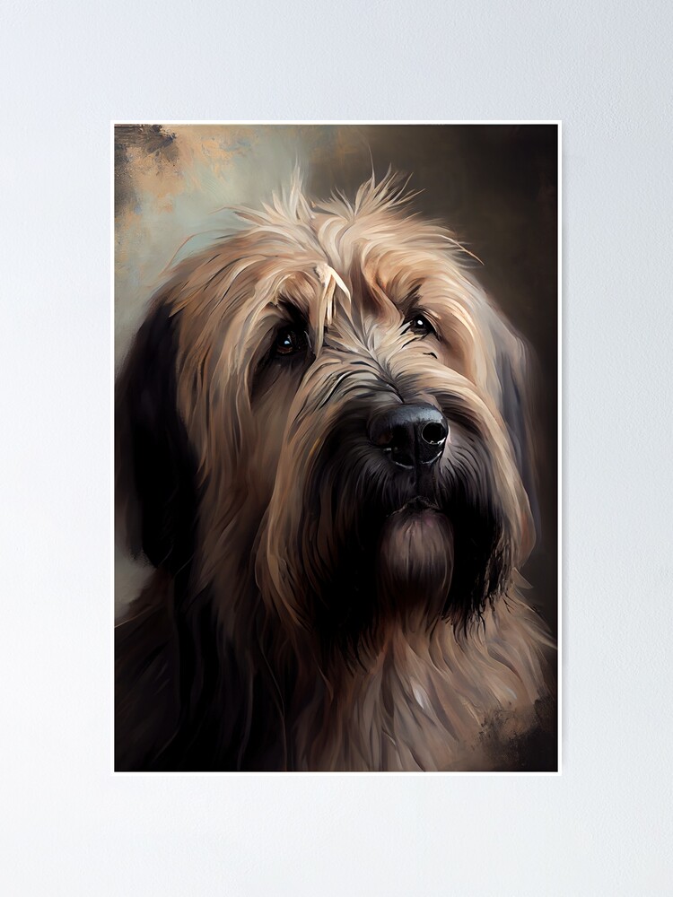 Briard Oil Paint