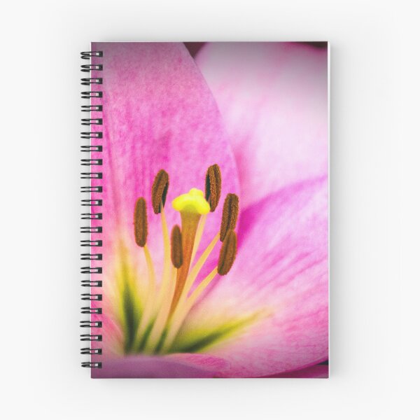 Item preview, Pink Lillium of Keukenhof designed and sold by photograham.
