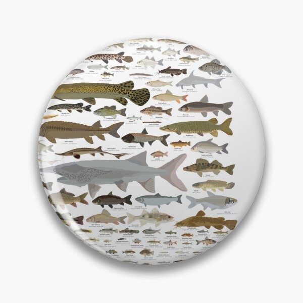 Item preview, Illinois Fish Species Poster designed and sold by andybirkey.