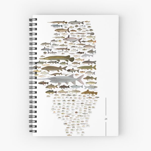 Item preview, Illinois Fish Species Poster designed and sold by andybirkey.