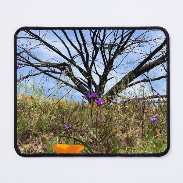 Item preview, Black tree designed and sold by Tanyateo.