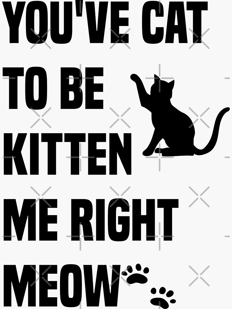 Youve Cat To Be Kitten Me Right Meow Sticker For Sale By Storeatf