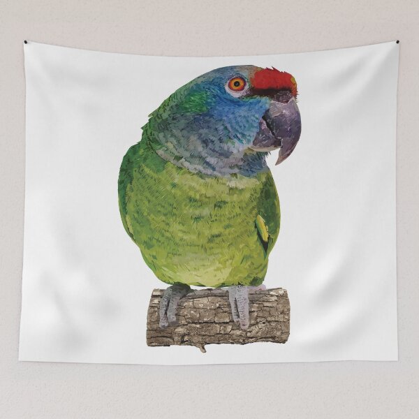 Item preview, The red-backed amazon designed and sold by obscurite.