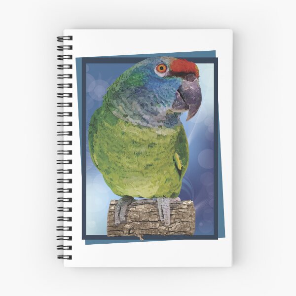 Item preview, The red-backed amazon designed and sold by obscurite.
