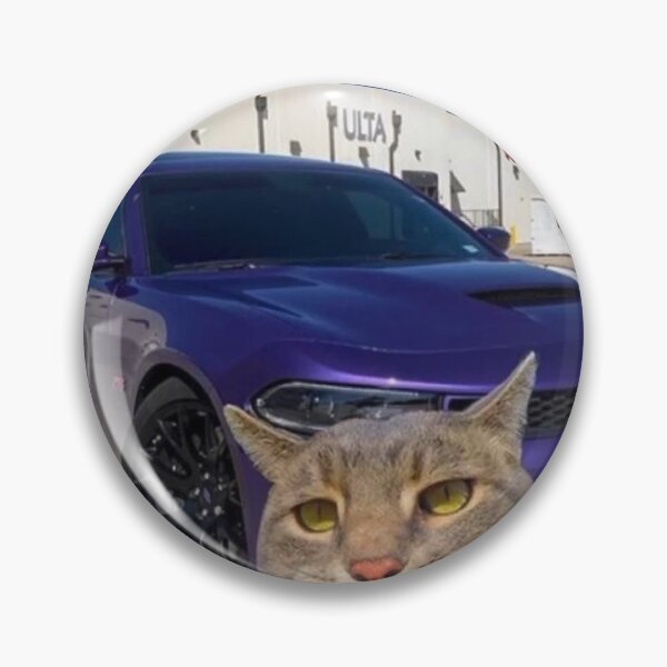 Item preview, swag cat designed and sold by norblk.