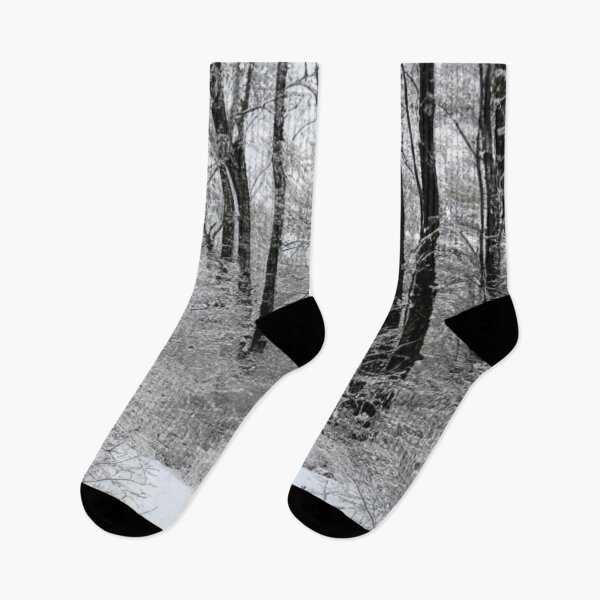 Item preview, A Winter Forest designed and sold by B-llywelyn.