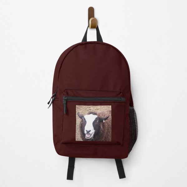Item preview, Sheep Image Zwartbles (Poppy the Ewe) designed and sold by Oppos Community Farm.