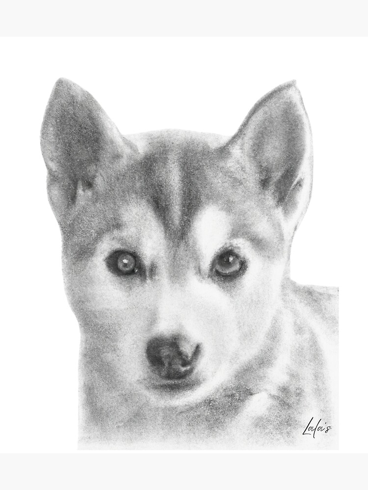 "Husky World Husky Puppy" Poster for Sale by rockvh Redbubble