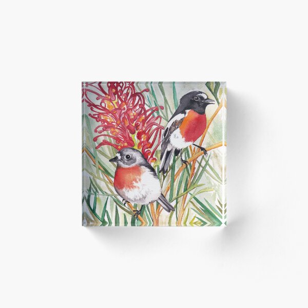 Scarlet Robins Acrylic Block