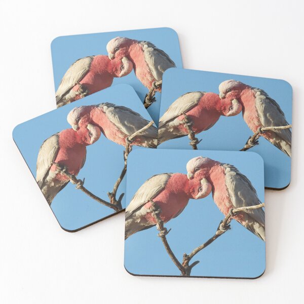 Item preview, Loving Galahs designed and sold by Seesee.