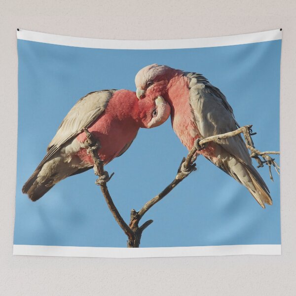 Item preview, Loving Galahs designed and sold by Seesee.