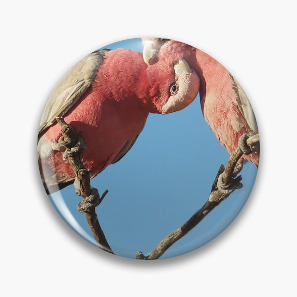 Item preview, Loving Galahs designed and sold by Seesee.