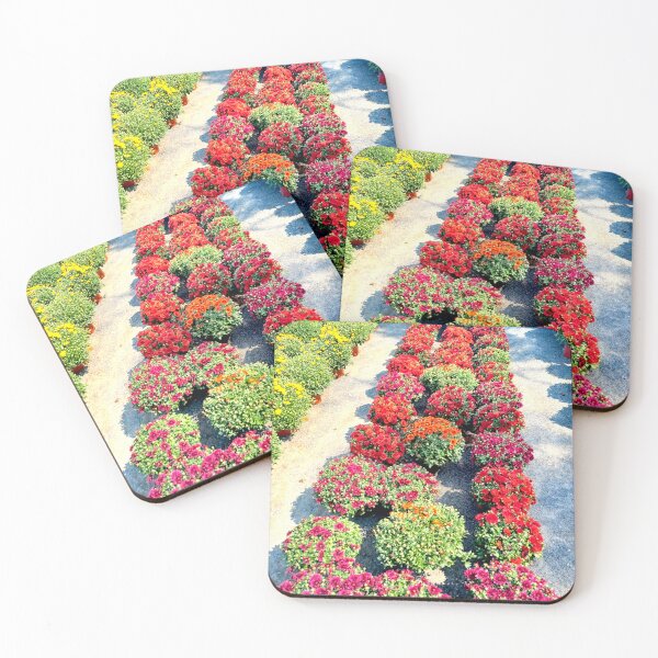 Item preview, rows of mums designed and sold by Aleshja.