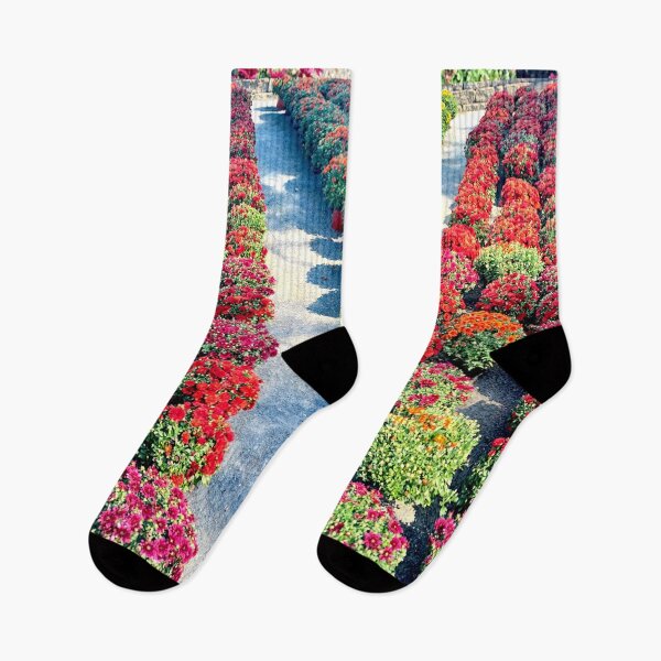 Item preview, rows of mums designed and sold by Aleshja.