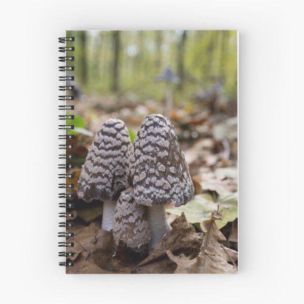 Item preview, Autumn mushroom (Coprinopsis picacea) in the forest designed and sold by Olimpia Negura.