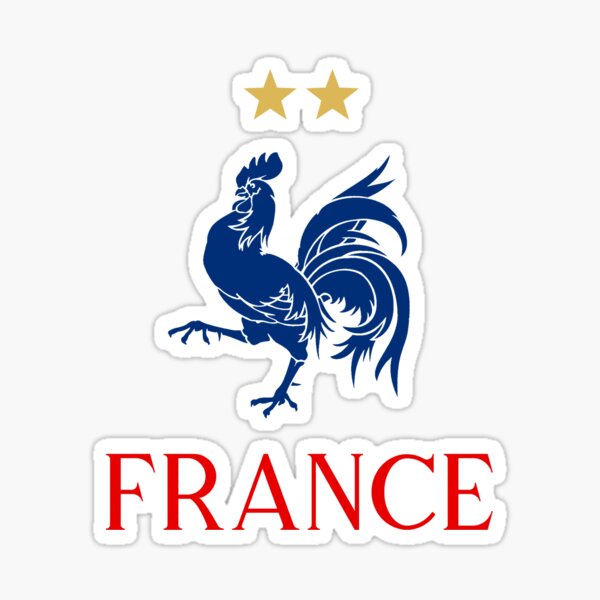 World Cup 2018 Champions Winner patch France Les Bleus Soccer badge Francia