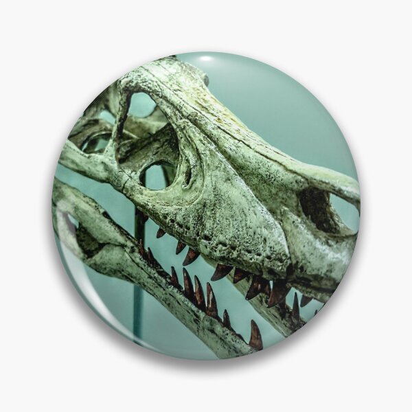 Item preview, Velociraptor skull without lable designed and sold by Deathplant.