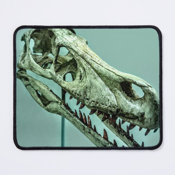 Item preview, Velociraptor skull without lable designed and sold by Deathplant.
