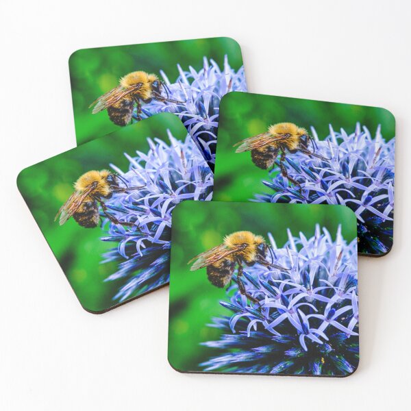Item preview, Bee On Small Globe Thistle 2 designed and sold by Robert Alsop.