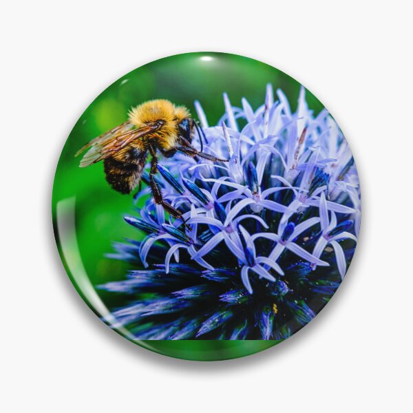 Item preview, Bee On Small Globe Thistle 2 designed and sold by Robert Alsop.