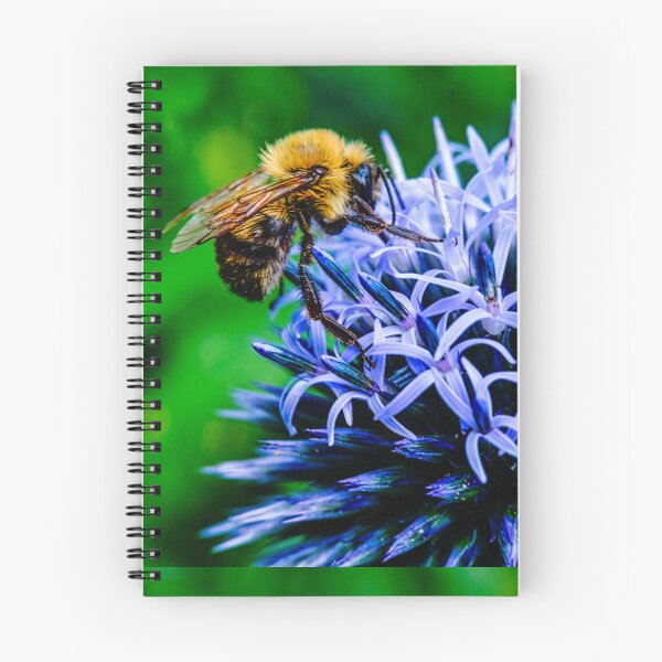 Item preview, Bee On Small Globe Thistle 2 designed and sold by Robert Alsop.