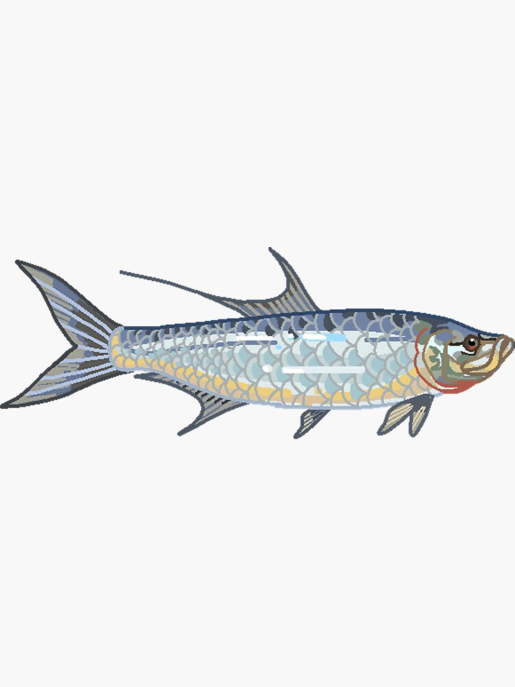 Tarpon Fish Sticker for Sale by AEMontgomery