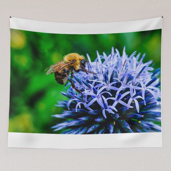 Item preview, Bee On Small Globe Thistle 2 designed and sold by Robert Alsop.