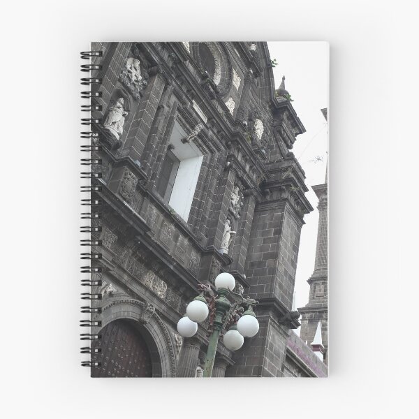 Item preview, Catedral de Puebla designed and sold by zumi.