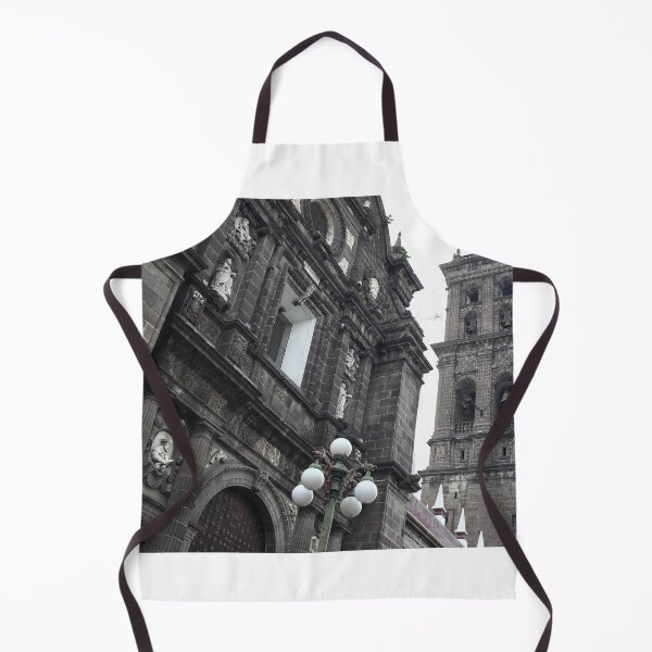 Item preview, Catedral de Puebla designed and sold by zumi.