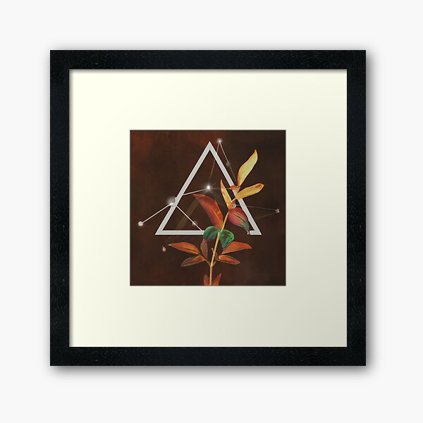 Flora Tri Framed Art Print