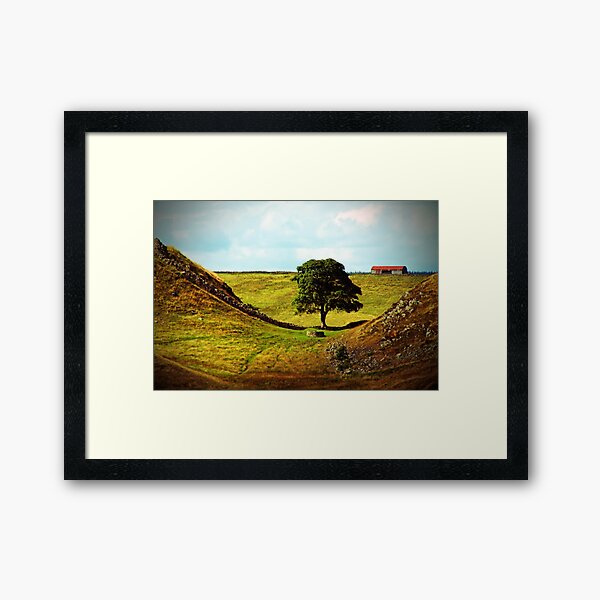 The Thieves Tree Framed Art Print