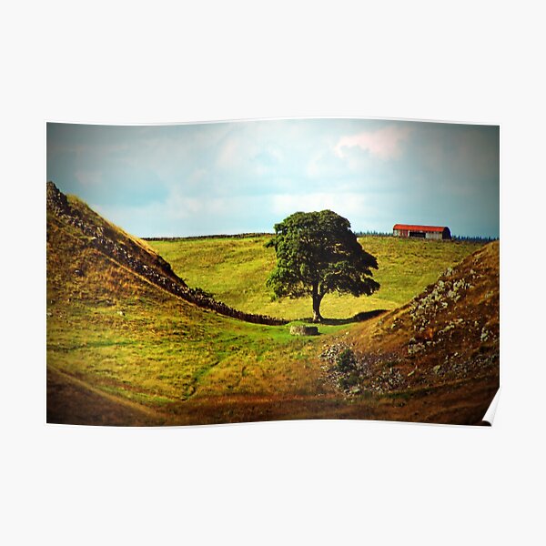 The Thieves Tree Poster
