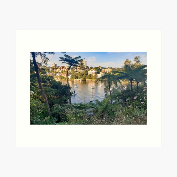 Item preview, Cremorne Point Garden And Walk designed and sold by rossacampbell.