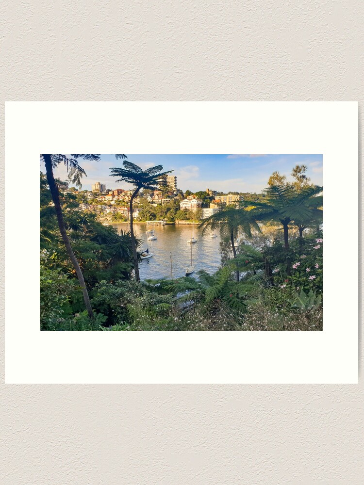 Thumbnail 1 of 3, Art Print, Cremorne Point Garden And Walk designed and sold by rossacampbell.