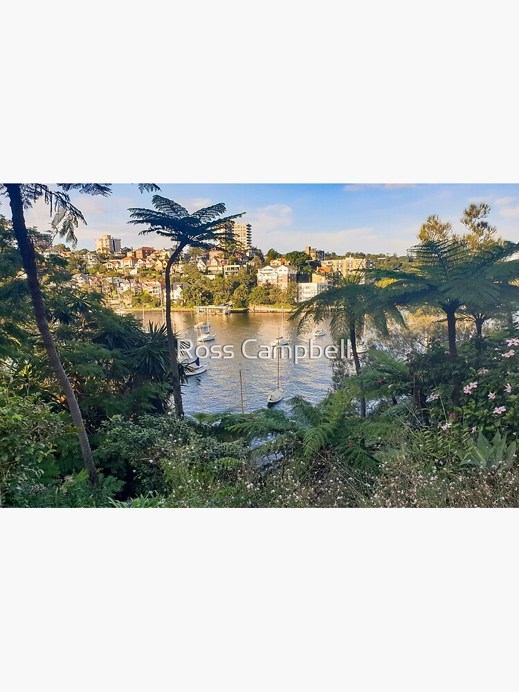 Thumbnail 3 of 3, Art Print, Cremorne Point Garden And Walk designed and sold by rossacampbell.
