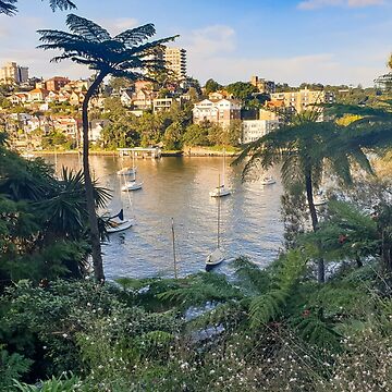 Artwork thumbnail, Cremorne Point Garden And Walk by rossacampbell