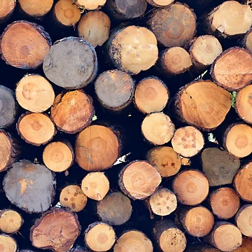 Artwork thumbnail, Log Pile by John Stoves