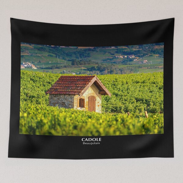 Item preview, Cadole of Beaujolais designed and sold by Gaël FONTAINE.